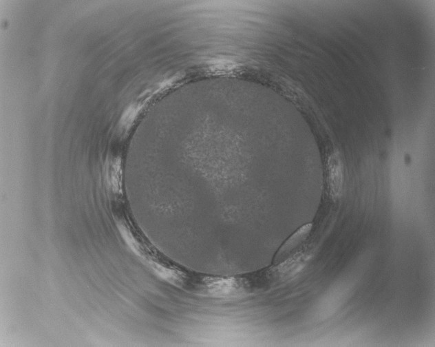 X0000051860083200507151831