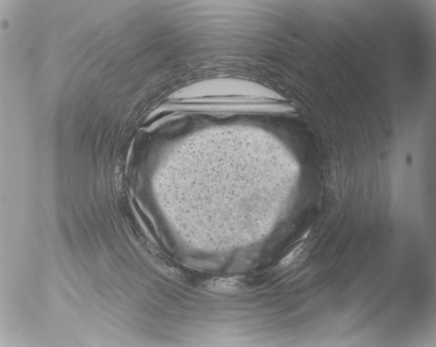 X0000051860086200507151831