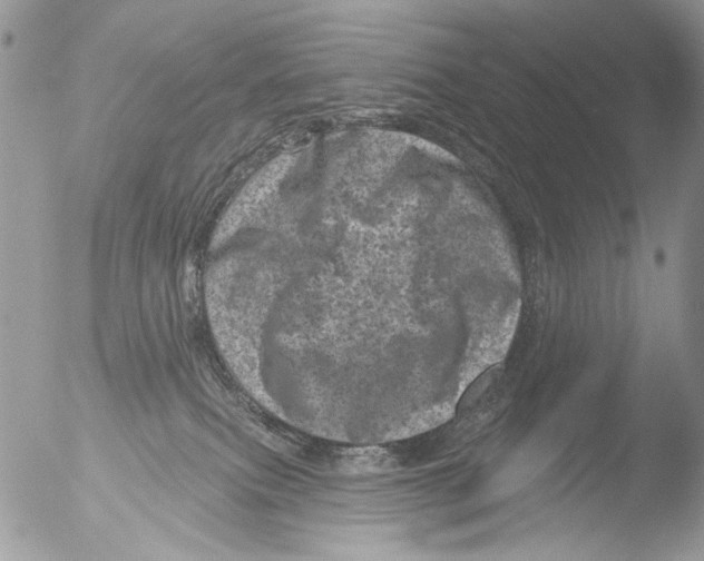 X0000051860087200507151831