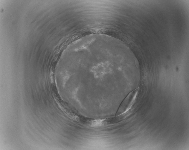 X0000051860090200507151831