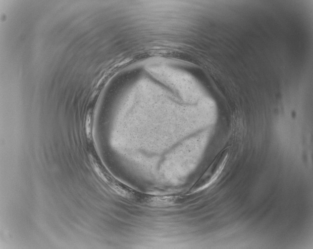 X0000051860094200507151831