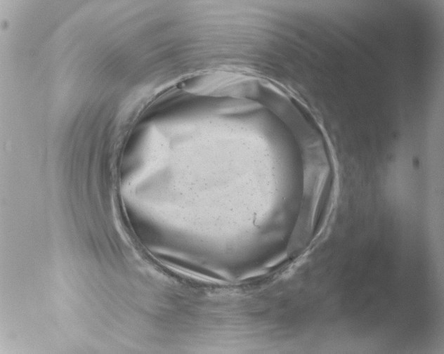 X0000051860097200507151831