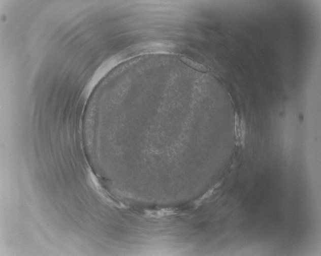 X0000051860099200507151831