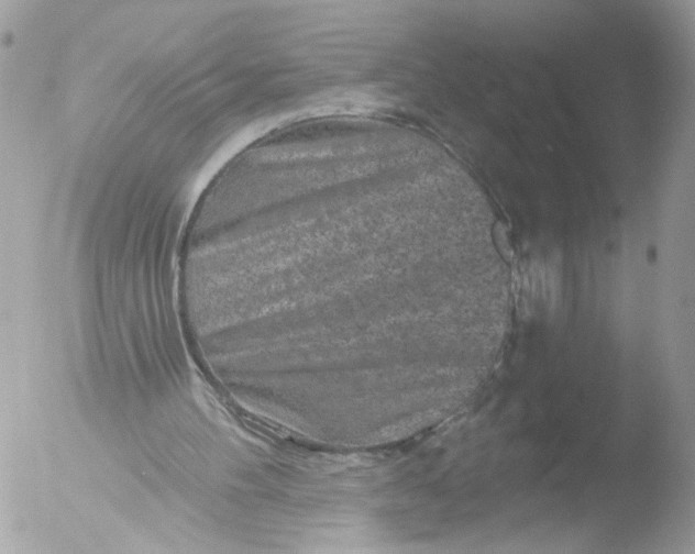 X0000051860100200507151831