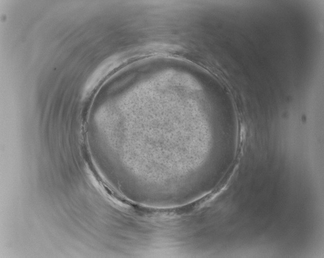 X0000051860101200507151831