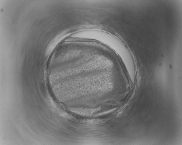 X0000051860103200507151831