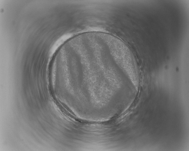 X0000051860104200507151831