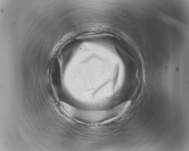 X0000051860105200507151831