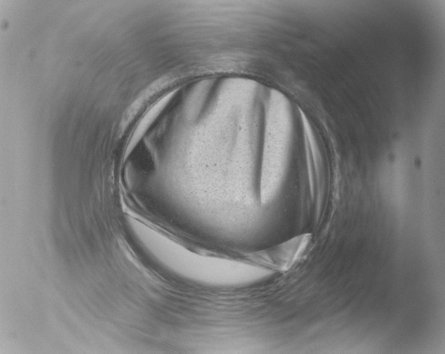 X0000051860107200507151831