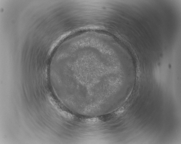 X0000051860112200507151830