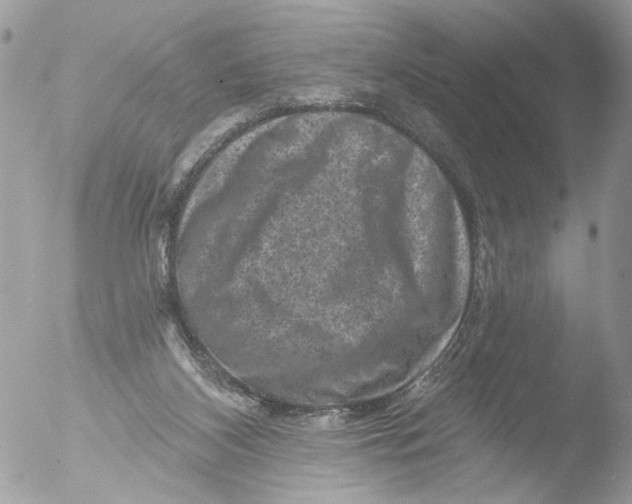 X0000051860116200507151830