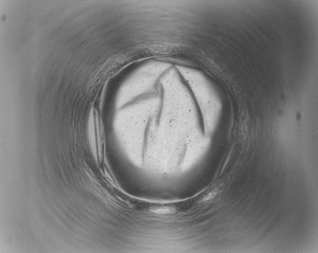 X0000051860117200507151830