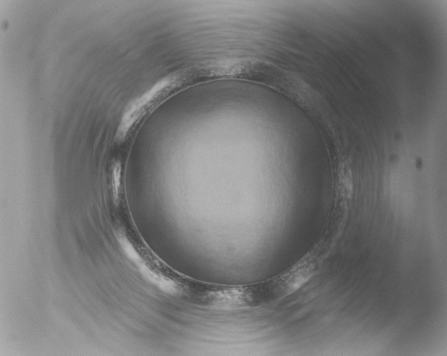 X0000051860118200507151830