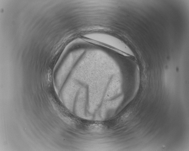 X0000051860119200507151830