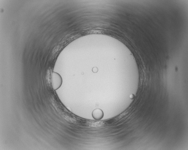 X0000051860122200507151830