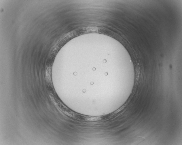 X0000051860126200507151830