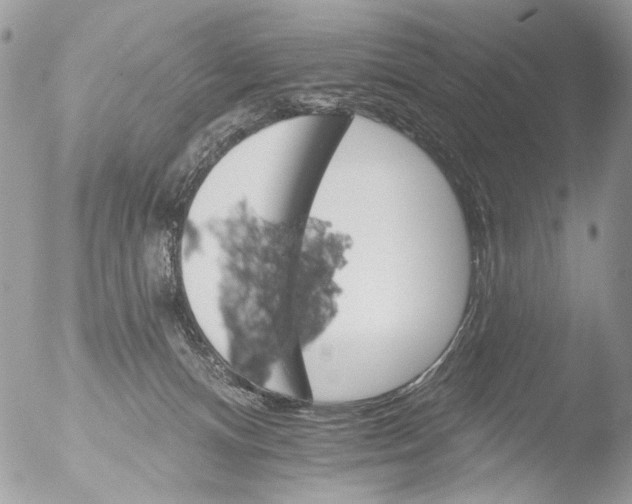 X0000051860128200507151830