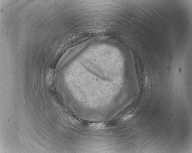 X0000051860133200507151830