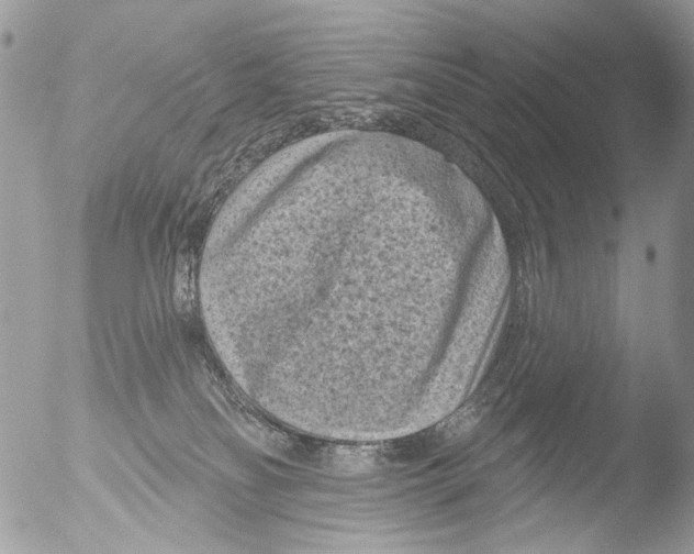 X0000051860134200507151830