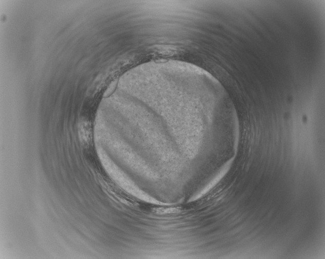 X0000051860135200507151830