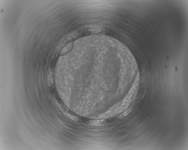 X0000051860136200507151830