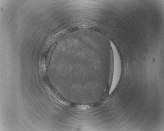 X0000051860137200507151830