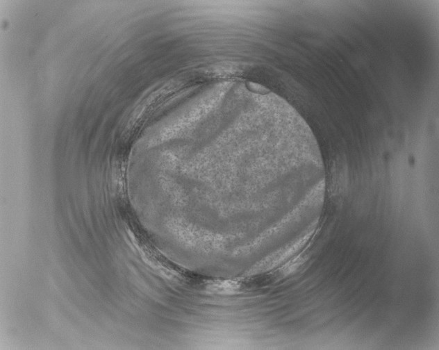 X0000051860140200507151830