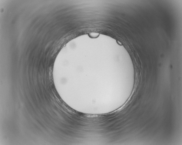 X0000051860144200507151830