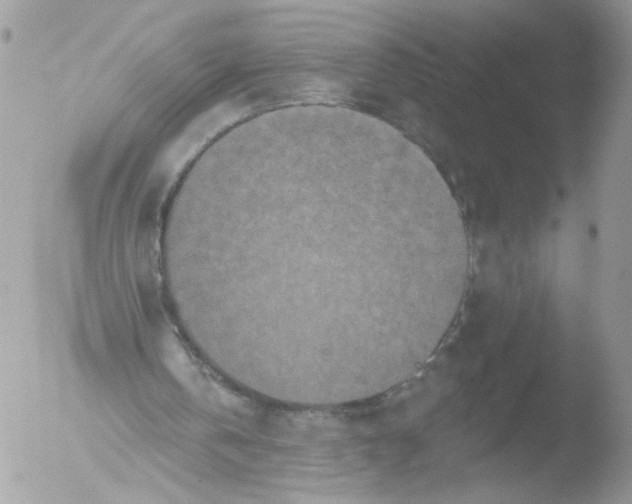 X0000051860146200507151829