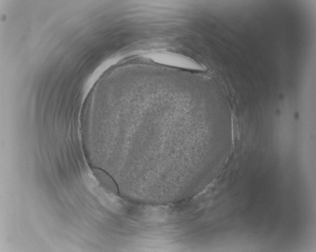 X0000051860147200507151829