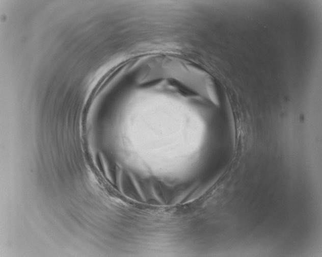 X0000051860148200507151829