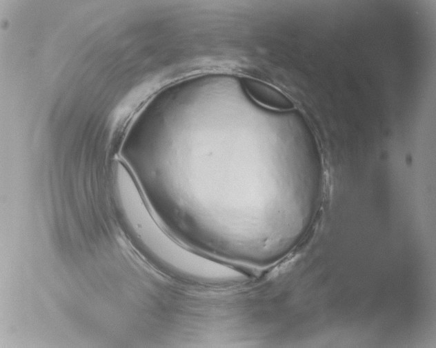 X0000051860149200507151829