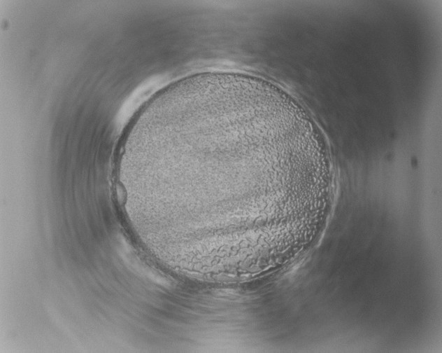 X0000051860151200507151829