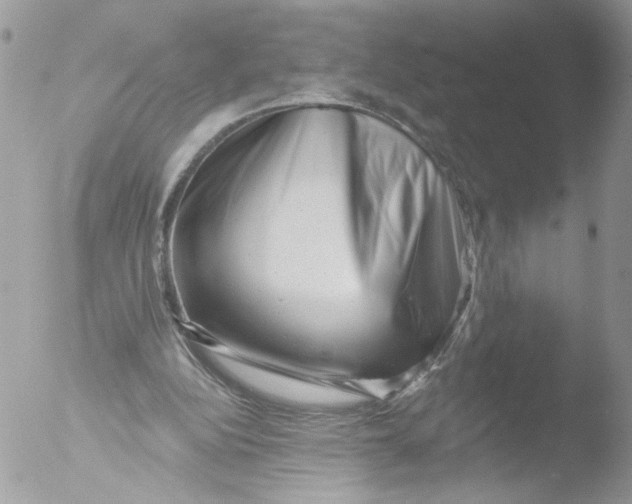 X0000051860152200507151829