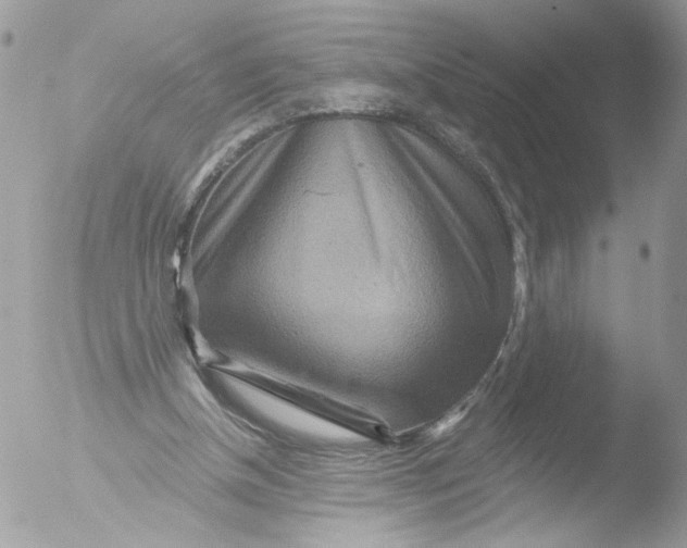 X0000051860154200507151829