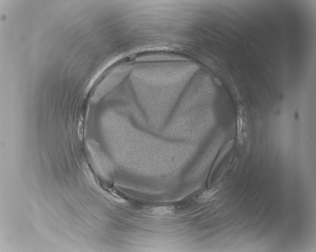 X0000051860156200507151829