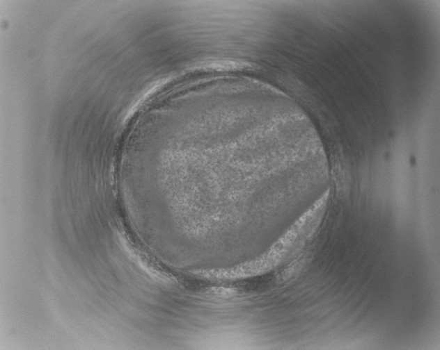 X0000051860159200507151829