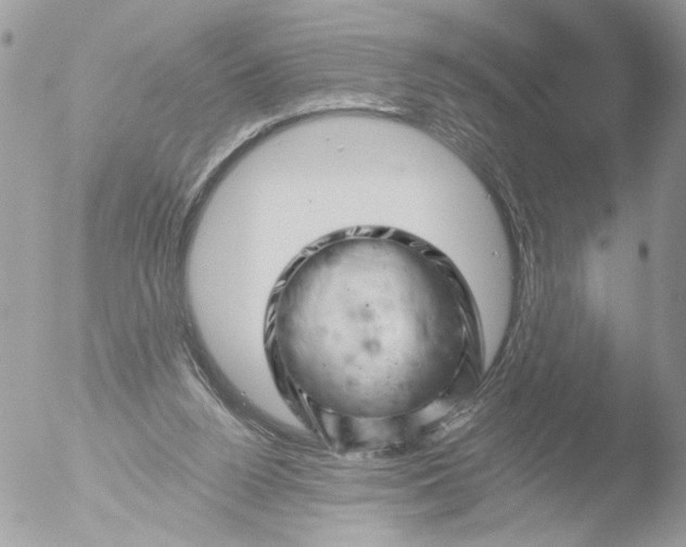 X0000051860160200507151829