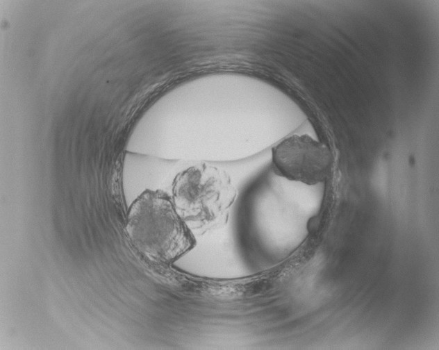 X0000051860161200507151829