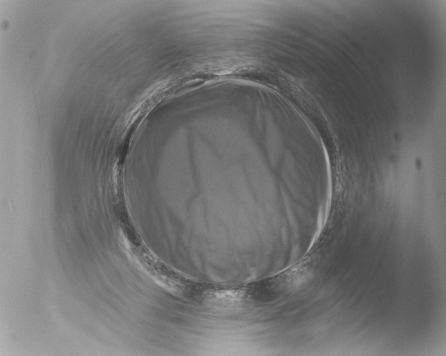 X0000051860163200507151829