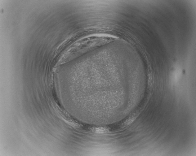 X0000051860165200507151829