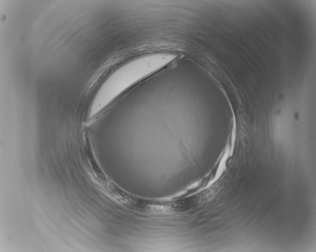 X0000051860167200507151829