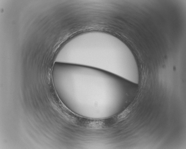 X0000051860168200507151829