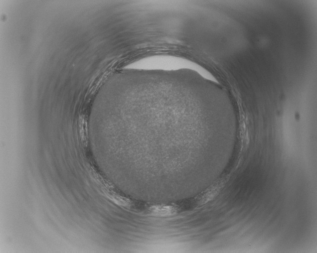 X0000051860169200507151829