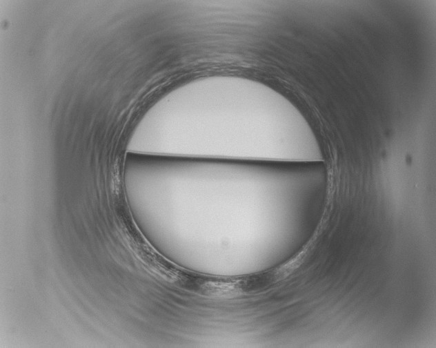 X0000051860170200507151830