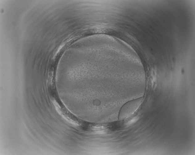 X0000051860171200507151830