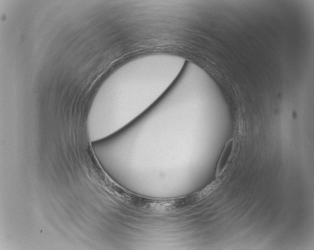 X0000051860172200507151830