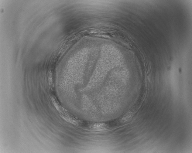 X0000051860173200507151830