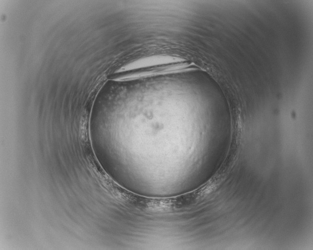 X0000051860177200507151830