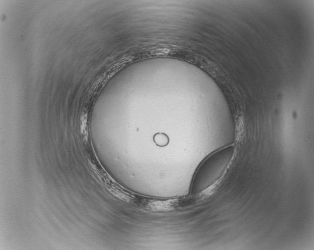 X0000051860178200507151830